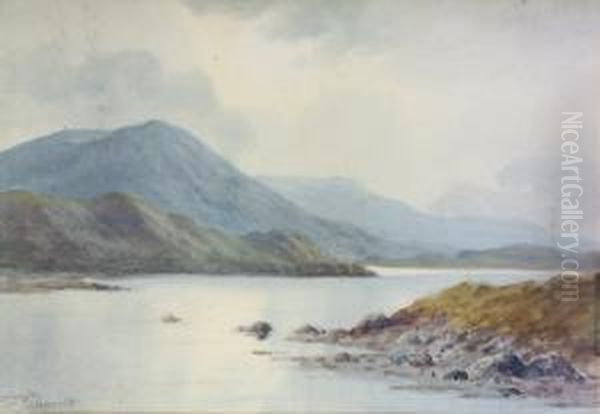 A Grey Day, Connemara Oil Painting by Douglas Alexander