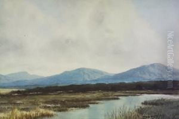 Bog Landscape Oil Painting by Douglas Alexander