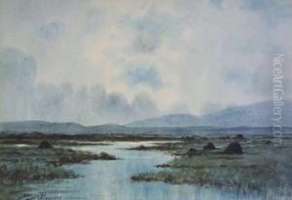 West Of Ireland Bogland Scene Oil Painting by Douglas Alexander