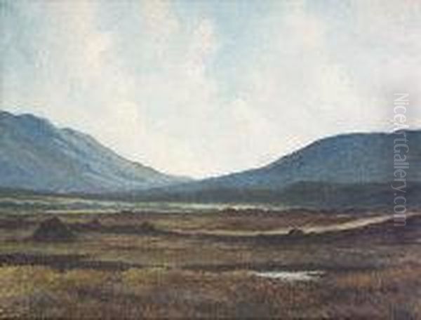 Erriff Valley, Connemara Oil Painting by Douglas Alexander