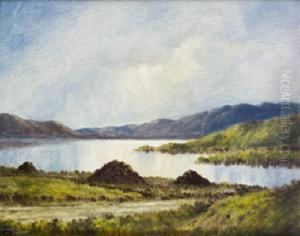 Connemara Landscape Oil Painting by Douglas Alexander