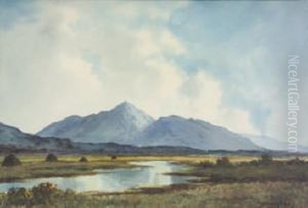 West Of Ireland Lake And Mountain Landscape Oil Painting by Douglas Alexander