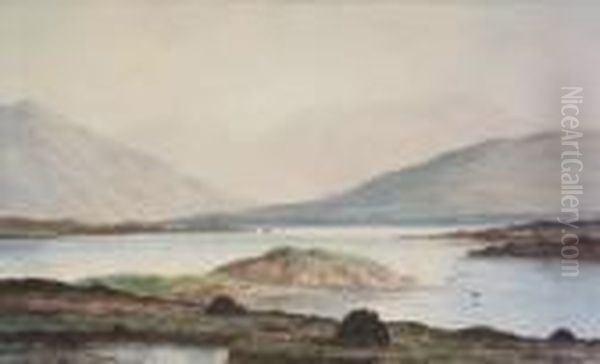 Lough Corrib, Connemara Oil Painting by Douglas Alexander