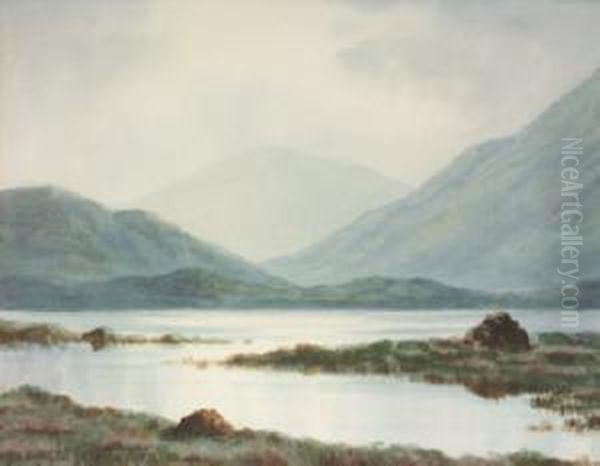 Evening Light, Connemara Oil Painting by Douglas Alexander