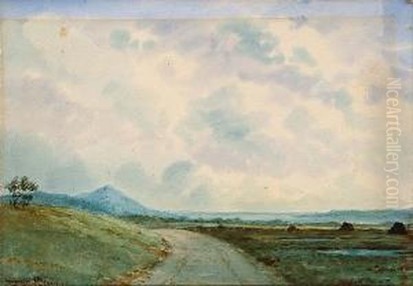 Connemara Landscape Oil Painting by Douglas Alexander