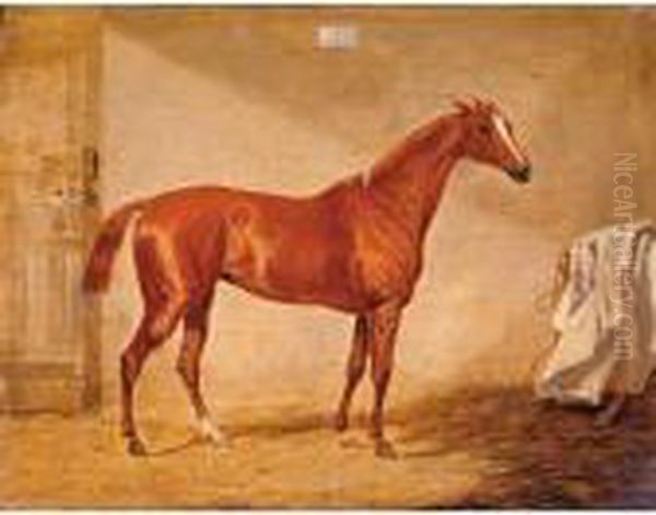 A Racehorse In A Loose Box Oil Painting by Henry Thomas Alken