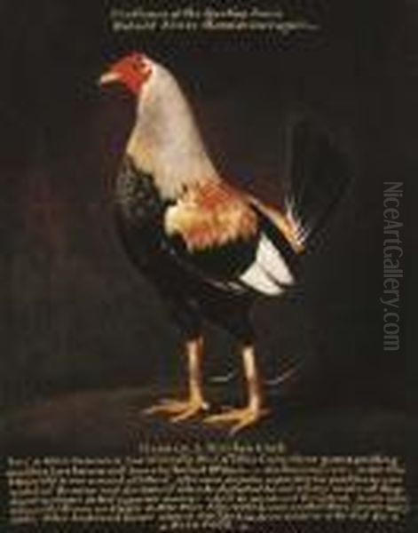 Madman, A Birchen Cock Oil Painting by Henry Thomas Alken