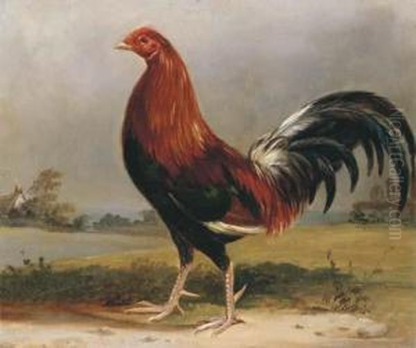 A Fighting Cock In A Landscape Oil Painting by Henry Thomas Alken