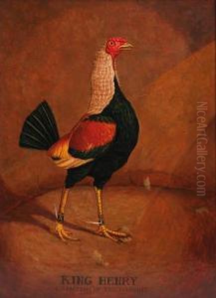 King Henry, A Fighting Cock Oil Painting by Henry Thomas Alken