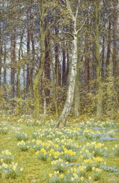 The Daffodil Wood Oil Painting by Helen Mary Elizabeth Allingham