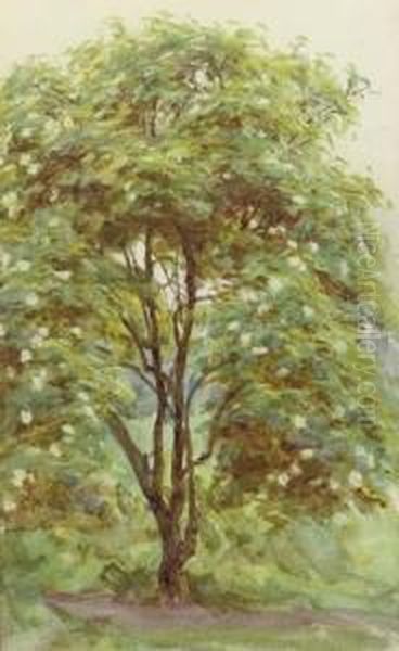 Study Of A Tree Oil Painting by Helen Mary Elizabeth Allingham