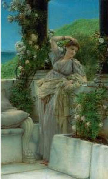 Thou Rose Of All Roses Oil Painting by Sir Lawrence Alma-Tadema