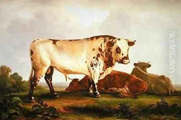 Bull Oil Painting by John Glover