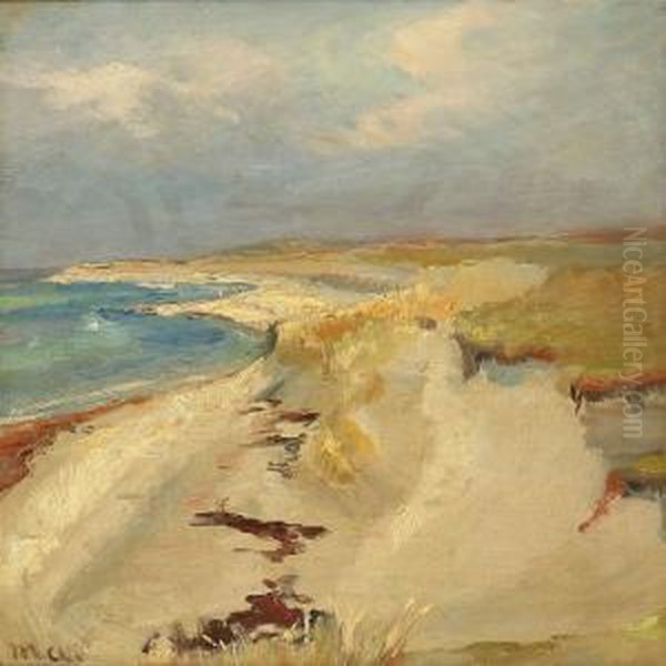 Coastal Scene From Skagen Beach, Denmark Oil Painting by Michael Ancher