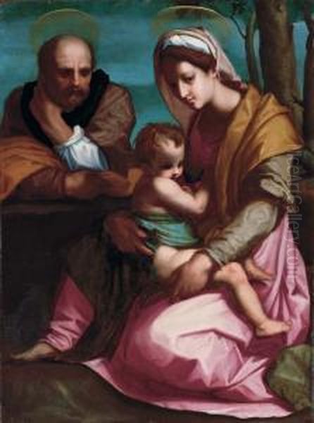 The Barberini Holy Family Oil Painting by Andrea Del Sarto