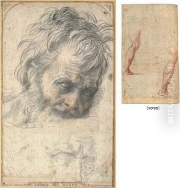 Head Of Saint Joseph Looking Down, With A Subsidiary Study Of Hisfeatures Oil Painting by Andrea Del Sarto