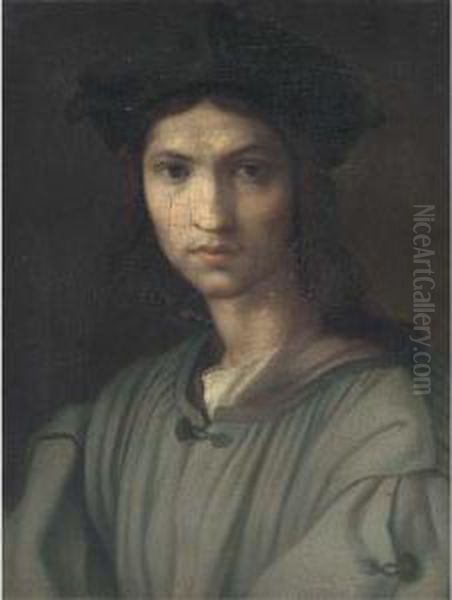 Portrait Of A Young Man, Bust-length Oil Painting by Andrea Del Sarto