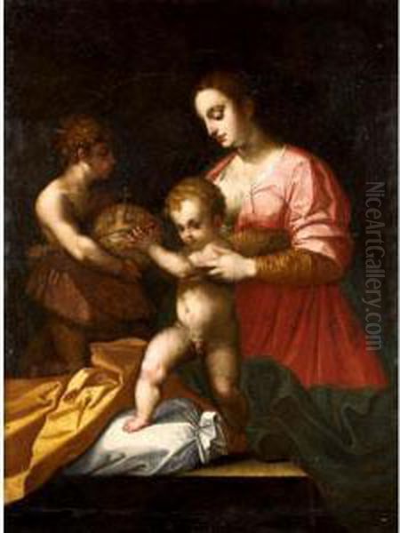 The Madonna And Child With Saint John The Baptist Oil Painting by Andrea Del Sarto