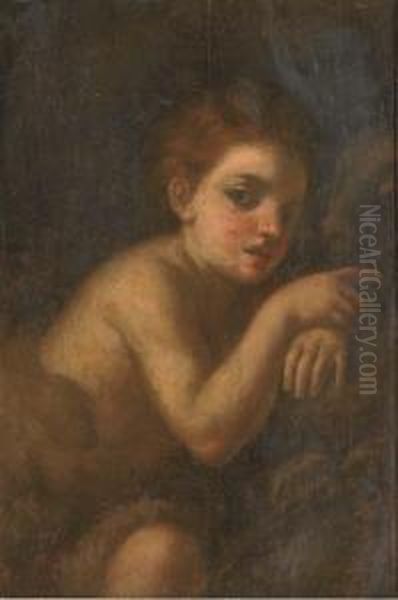 The Infant Saint John The Baptist Oil Painting by Andrea Del Sarto