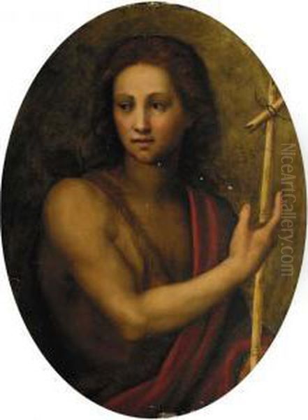 Saint John The Baptist Oil Painting by Andrea Del Sarto