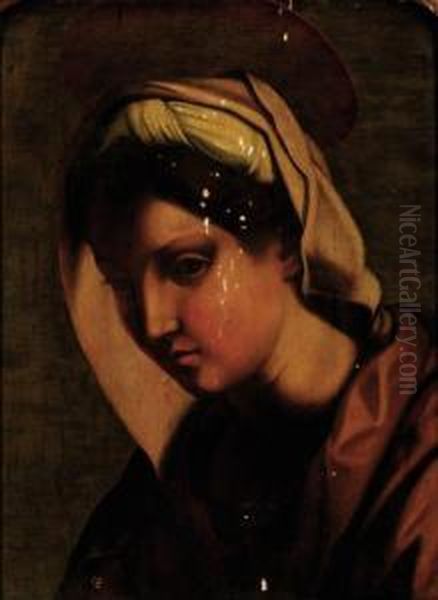 Saint Anne Oil Painting by Andrea Del Sarto