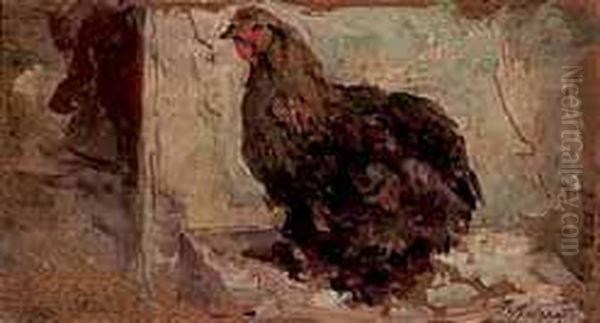 Gallinella Oil Painting by Federico Andreotti