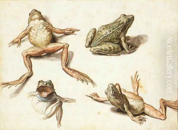 Four Studies of Frogs Oil Painting by Jacob de II Gheyn