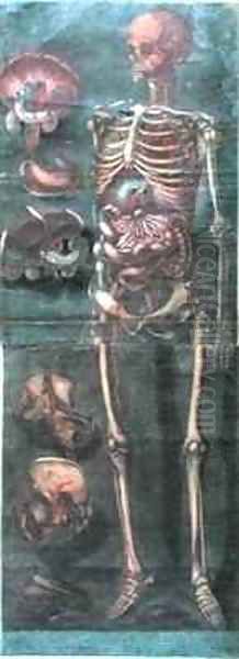 The Skeleton from Exposition Anatomique de la Structure du Corps Humain Oil Painting by Jacques - Fabien Gautier - Dagoty