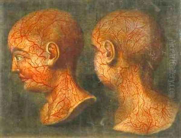 Superficial blood vessels of the head and neck Oil Painting by Jacques - Fabien Gautier - Dagoty