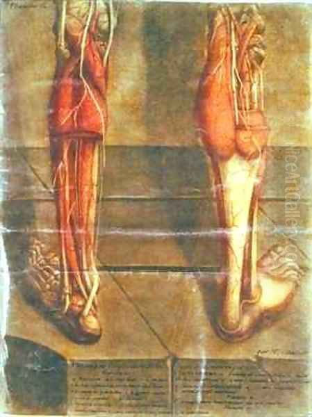 Musculature of the legs 2 Oil Painting by Jacques - Fabien Gautier - Dagoty