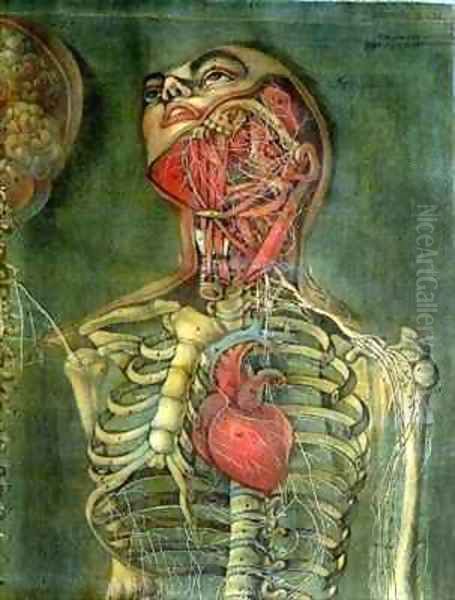 Throat and heart plate from Anatomy of the Visceras dissected Oil Painting by Jacques - Fabien Gautier - Dagoty