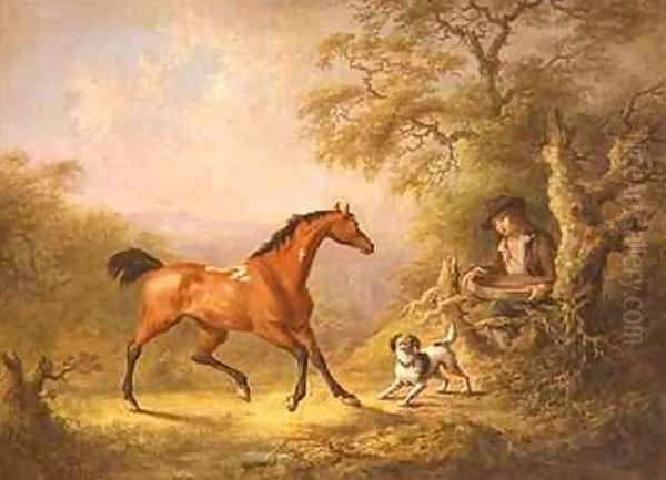 A Groom Feeding a Horse Oil Painting by Sawrey Gilpin