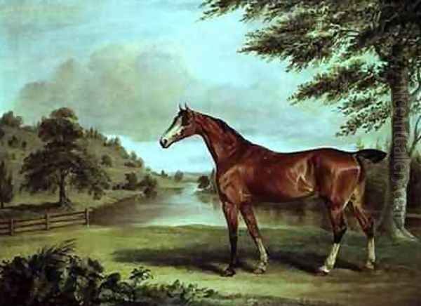 Bay Hunter in a Wooded Landscape with River Oil Painting by Sawrey Gilpin