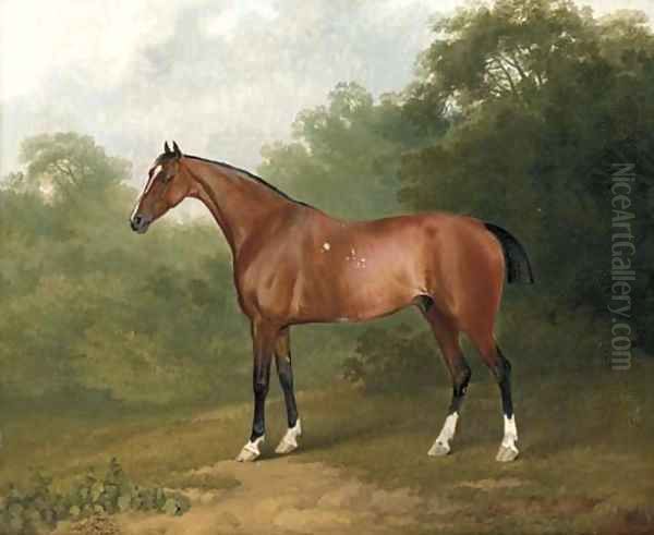 A bay horse in a wooded landscape Oil Painting by Sawrey Gilpin