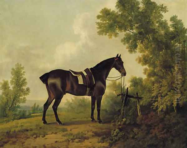 A saddled bay hunter in a wooded landscape Oil Painting by Sawrey Gilpin