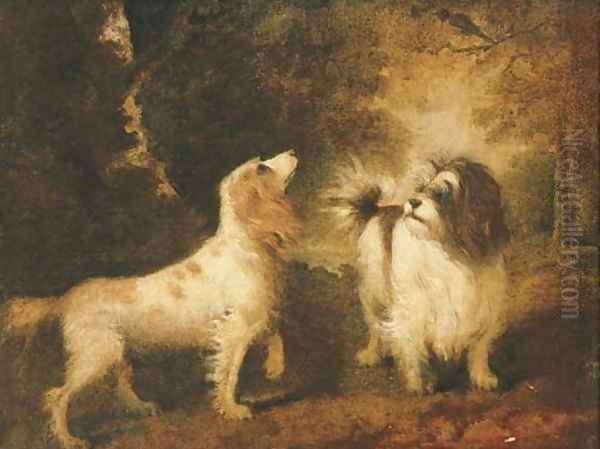 A Spaniel and a Terrier in a landscape Oil Painting by Sawrey Gilpin