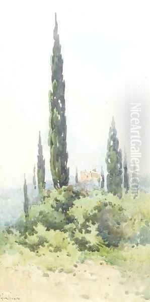 A villa amongst cypress trees, Corfu Oil Painting by Angelos Giallina