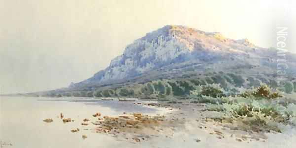 A rocky coastline Oil Painting by Angelos Giallina