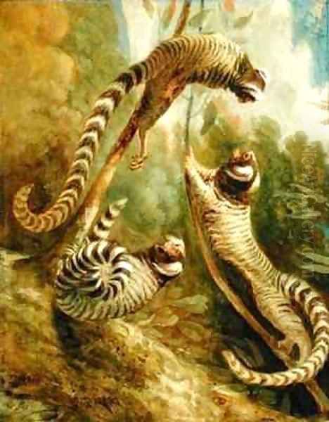 A Marmoset in Three Attitudes Oil Painting by George Garrard