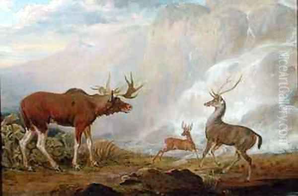 Earl of Orfords Elk Antelope and Stag by George Garrard