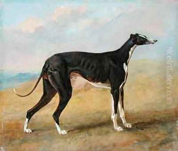 One of George Lane Foxs Winning Greyhounds the Black and White Greyhound Turk also known as Eagle Oil Painting by George Garrard