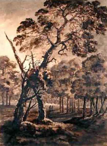 Forest Scene A Giant Scots Fir and Forest Glade Oil Painting by Rev. William Gilpin