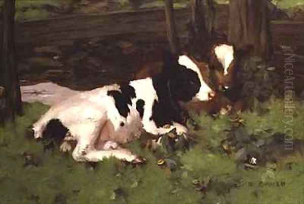 Calves Oil Painting by David Gauld