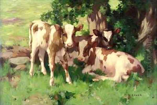 Three Calves in the Shade of a Tree Oil Painting by David Gauld