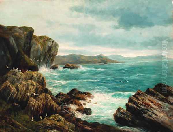 Seagulls in a rocky coastal landscape Oil Painting by Peter Graham