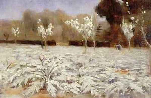 Artichokes Hyeres Oil Painting by Norman Garstin