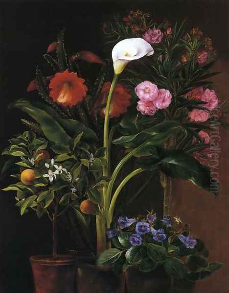 Still Life with Streptocarpus, Oleander, Calla Lily, Cactus Flowers and and Orange Tree Oil Painting by Louise Garlieb