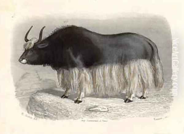 The Tartary Cow Oil Painting by Gobin, H.