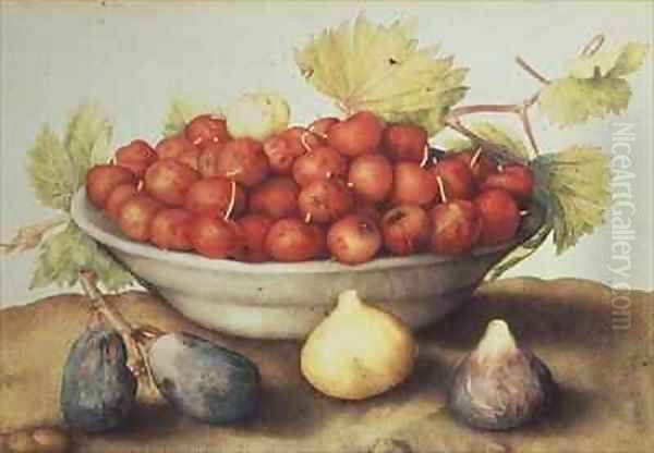 A Bowl of Cherries and Figs Oil Painting by Giovanna Garzoni