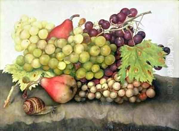 Snail with Grapes and Pears Oil Painting by Giovanna Garzoni